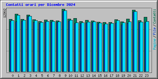 Contatti orari per Dicembre 2024